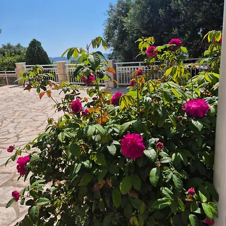 Casa Di Pietro 2 *